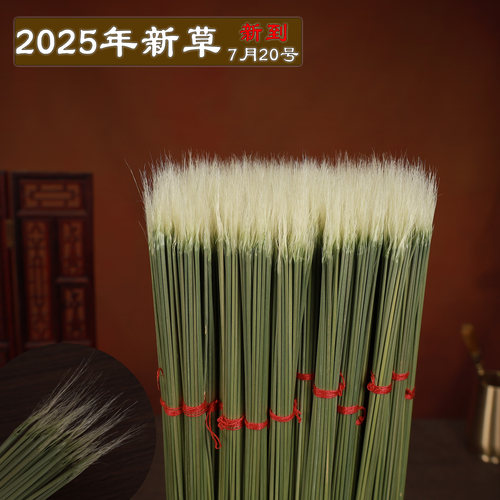 蟋蟀蛐蛐斗草芡草鼠须草探子