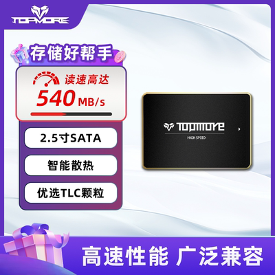 TOPMORE固态硬盘SATA接口