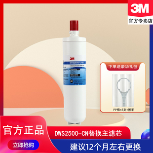 CN主滤芯净水机后置替换活性炭过滤器滤芯 3M净水器净享DWS2500