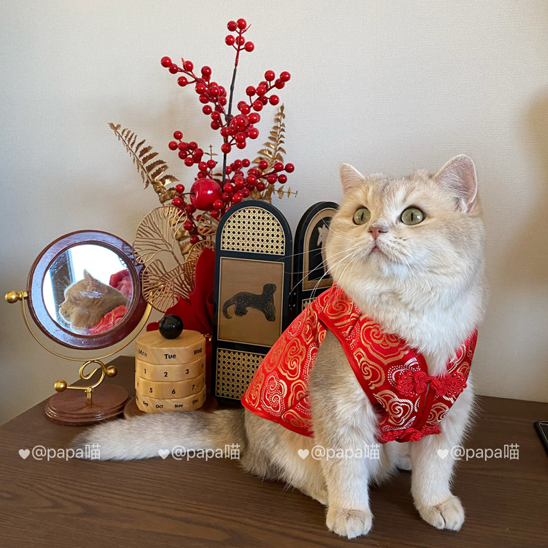 原创】狗狗猫咪过新年衣服宠物薄款国风唐装汉服祥云如意马甲比熊