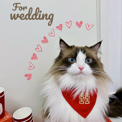宠物参加婚礼衣服狗狗猫咪三角巾