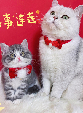 papa喵~宠物中国风新年红色领结猫咪狗狗新年围脖项圈国潮装饰
