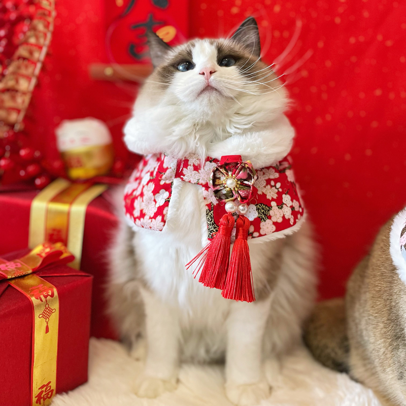 新年国潮斗篷披肩宠物猫咪狗衣服