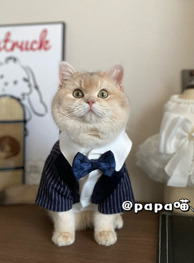 宠物狗狗猫咪西服帅气西装薄款可爱结婚礼服伴郎假两件套绅士衣服