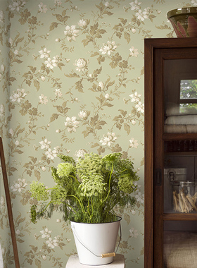 瑞典原装进口Borastapeter墙纸北欧美式藤花田园复古卧室背景壁纸