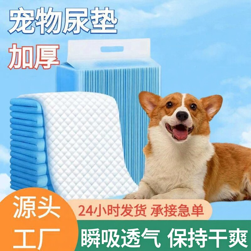 狗狗尿垫加厚除臭吸水尿片吸尿纸猫咪兔子尿不湿宠物隔尿垫