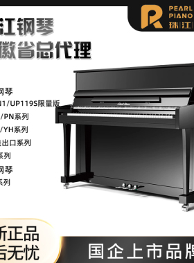 珠江UP/PS/PH/PN/TN/EP/YH/EU118出口S123明珠立式P/GP三角钢琴