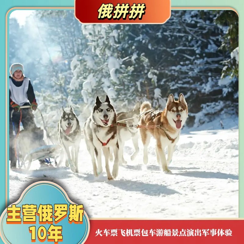 俄罗斯摩尔曼斯克捷里哈士奇公园北极光公园狗拉雪橇麋鹿咨询