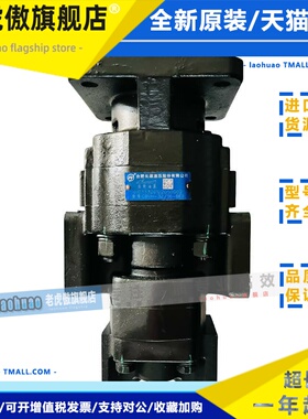 HCHC合肥长源液压齿轮油泵CBVH-32/16-BFP双联泵 合肥长源液压泵
