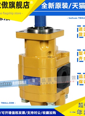 合肥长源液压齿轮油泵CBGTC2080-BLH 合肥长源液压股份有限公司