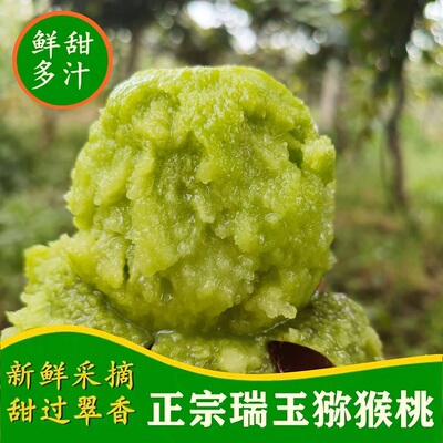 现摘瑞玉猕猴桃纯甜绿心猕猴桃
