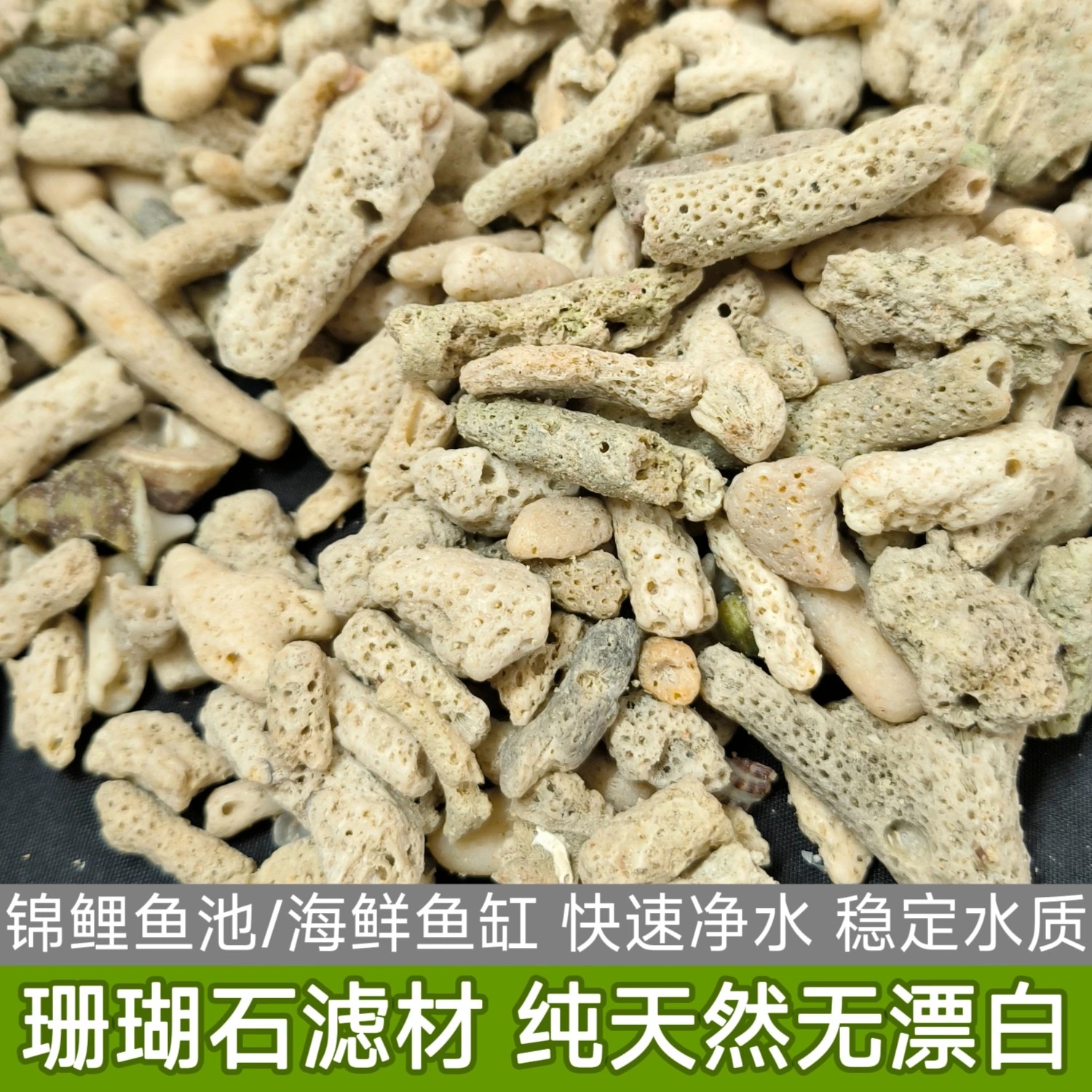 大块珊瑚滤材鱼池海鲜池珊瑚沙图片