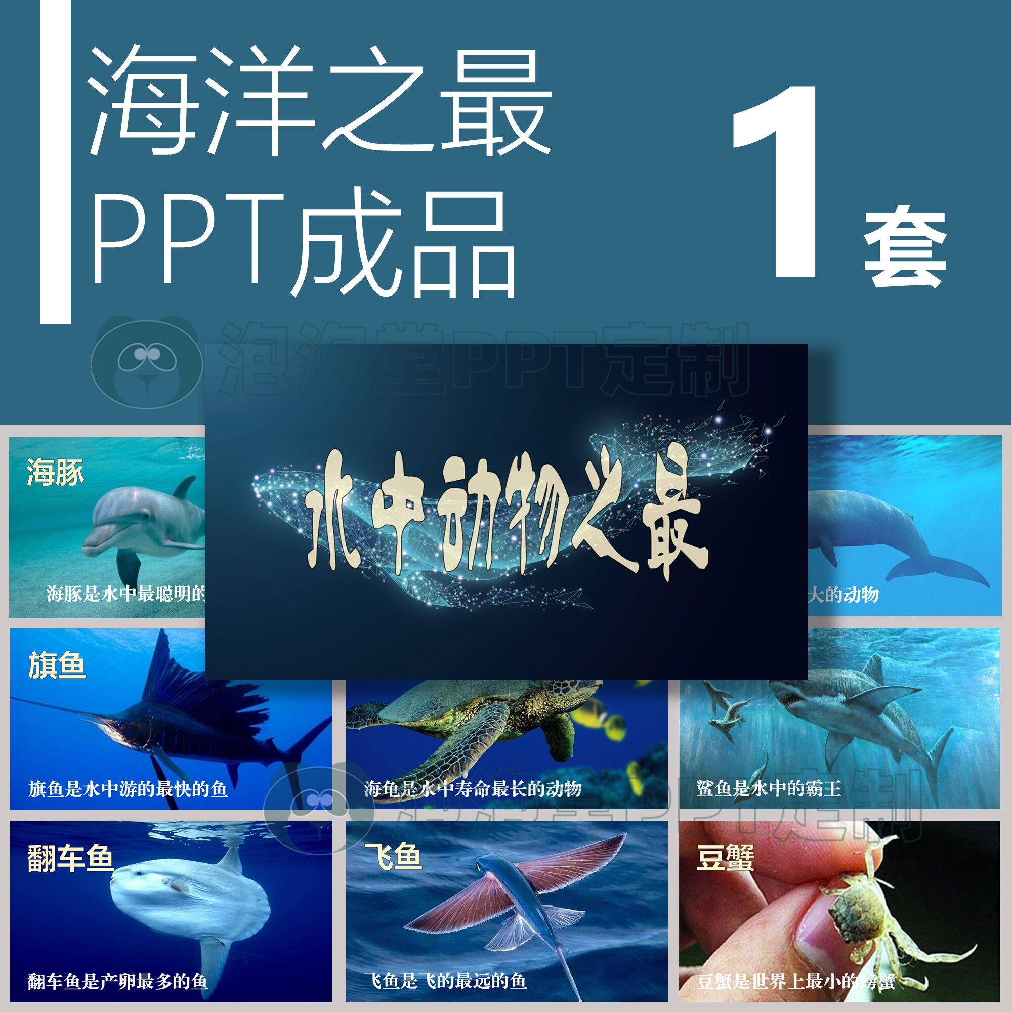 【b-055】海洋动物科普海洋之最小学生科普ppt教学课件