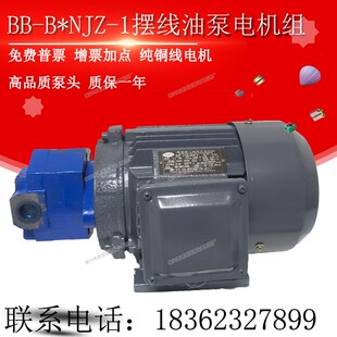 B40NJZ B32N B25NJZ 1东高 B20 1摆线齿轮油泵电机BB B16NJZ