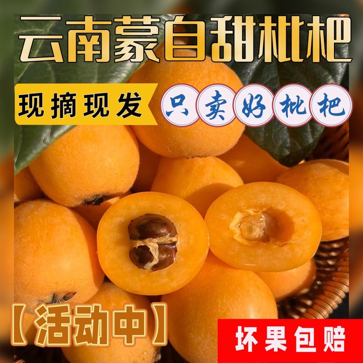 云南蒙自高山甜枇杷果5斤