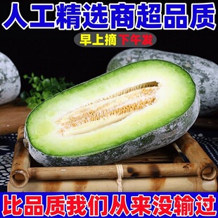 香冬瓜东瓜云南新鲜粉冬瓜农家高原青皮糯面当季小个冬瓜新鲜蔬菜