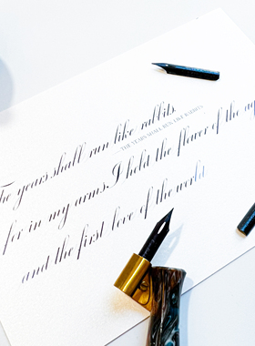 【Gillott303-手工挑选无废尖】苏赞英文书法ESER英语练字