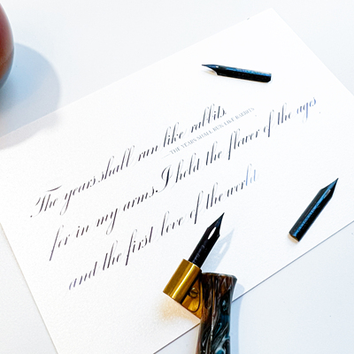 Gillott303点尖英语练字