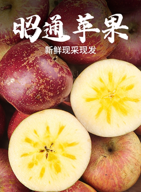滇西小哥 云南昭通苹果丑苹果新鲜甜脆水果