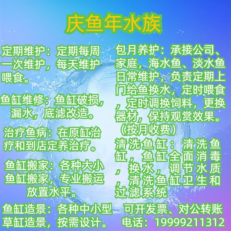 乌鲁木齐上门清洗维护鱼缸水族箱换水鱼病治疗水质检测搬运维修养