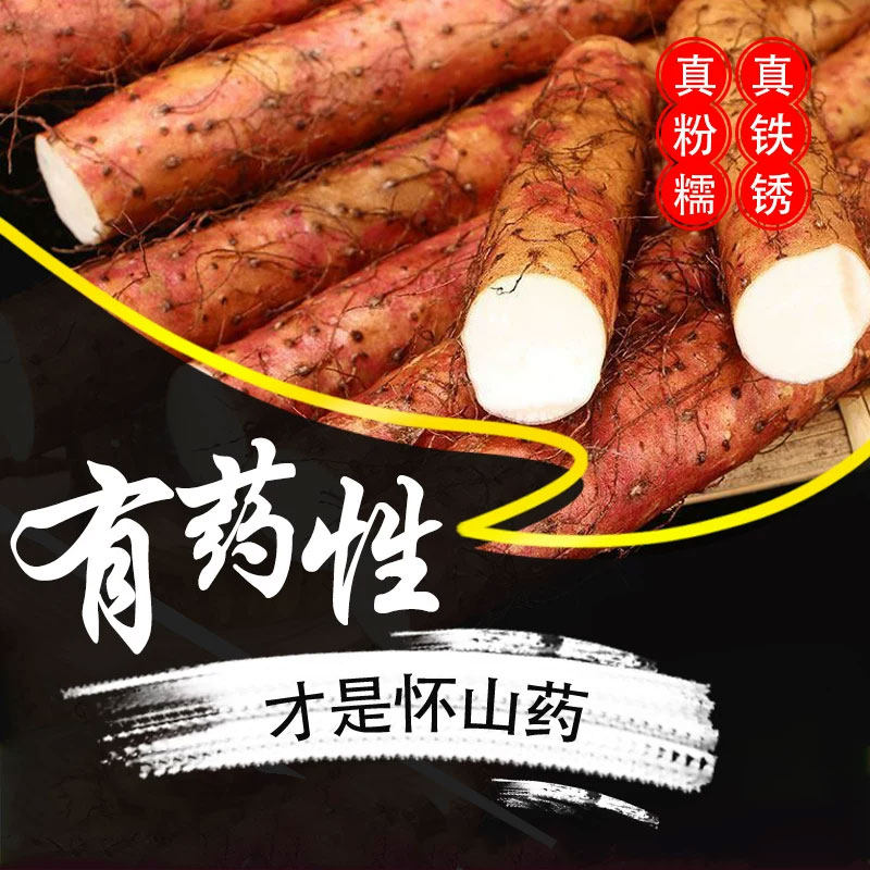 焦作铁棍山药干片温县垆土中药材怀淮山粉片农家食材正宗河南