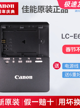 原装佳能EOS 6D 60D 70D 80D 90D R5 R6 5D4 6D2单反相机充电器