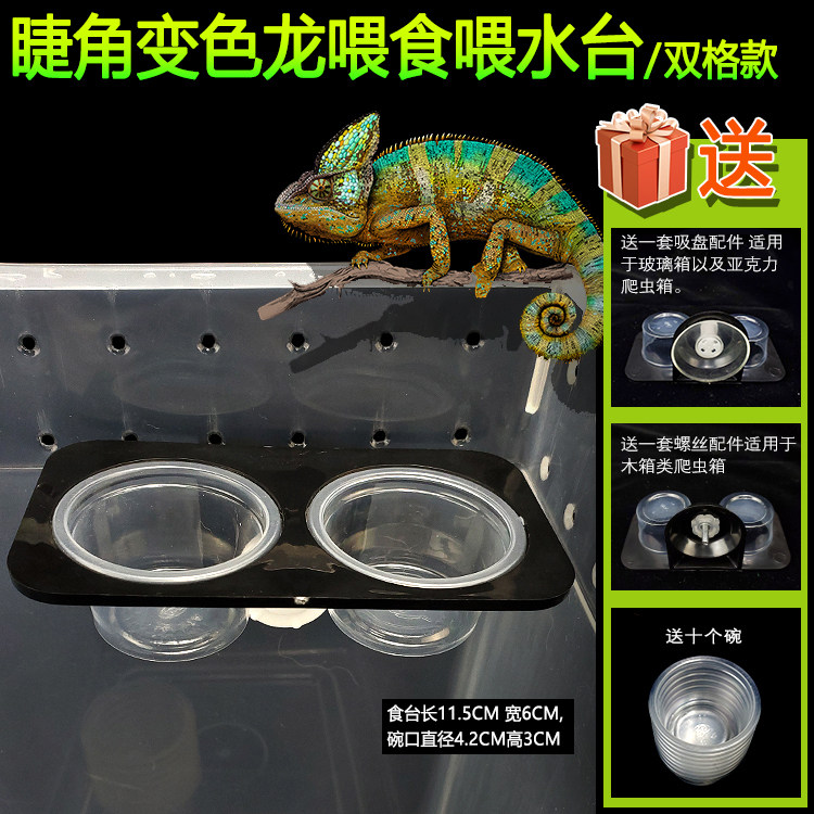 树栖爬虫喂水器喂食器吸盘睫角守宫变色丽纹龙水盆食盆喂食器合集