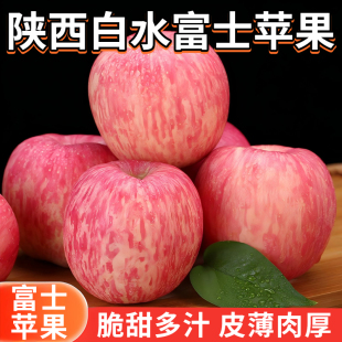新鲜脆甜产地直发坏果包赔5斤装 陕西白水红富士苹果 泉盛隆