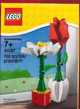 乐高40187花朵