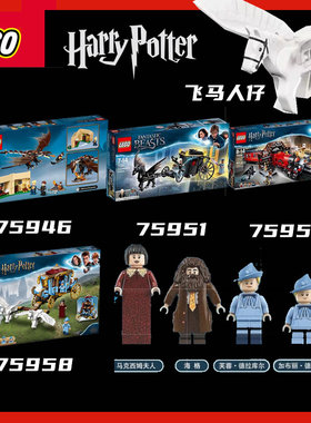 乐高哈利75946 火焰杯75951神奇75955火车75958钟楼75969人仔
