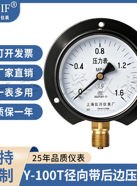 径向带后边压力表 Y-100T Y-60T 船用压力表 0-0.6/1/1.6/2.5Mpa
