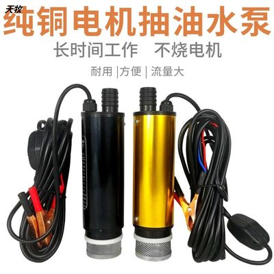 抽油泵 12V24伏220V小型水泵电动油抽子 柴油神器 加油枪抽酒机器