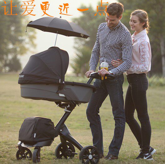 dsland高景观婴儿车可换向坐躺