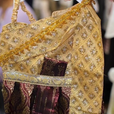 国内现货～泰国正版宠物狗狗猫猫