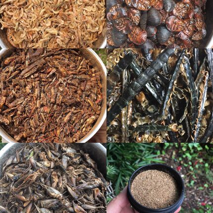 黄缘 龟优质混合虫粉60克加强版补钙发色蜈蚣粉 含0.06马克库推荐