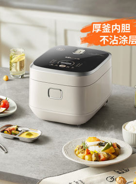 小熊电饭煲4升柴火饭电饭锅