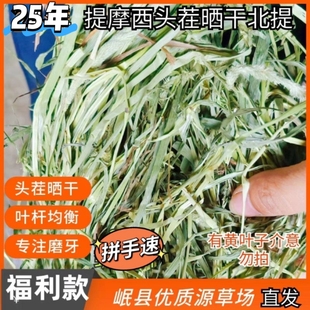 25年新【特价福利款晒干】提摩西草有黄叶不挑食可选兔子龙猫荷