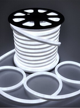 12V IP68 霓虹管 10mm 户外灯带 乳白 红光 绿光 蓝光 白光齐全