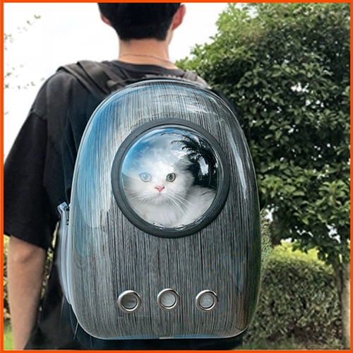 Рюкзак для выхода на улицу, ранец, вместительная и большая космическая портативная сумка, надевается на плечо