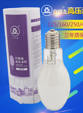 上海1923 自镇流高压汞灯GYZ125W160W250W450W 自汞灯泡 厂房