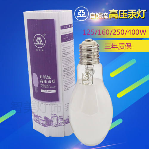 上海亚明1923 自镇流高压汞灯GYZ125W160W250W450W 自汞灯泡 厂房