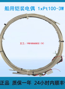 船用铠装电偶 1xPt100-3W