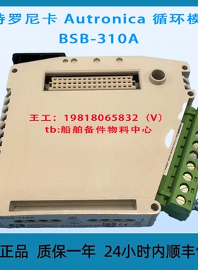 奥特罗尼卡 Autronica 循环模块 BSB-310A