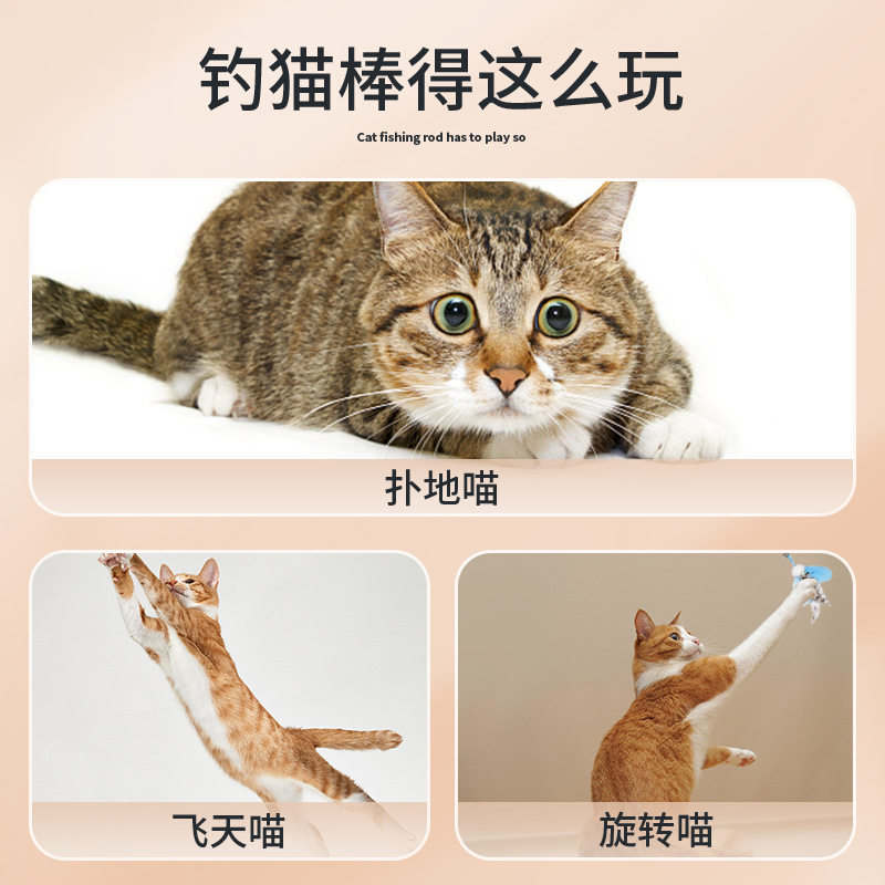 跨境钓鱼逗猫棒长杆可伸缩超长钓猫狗特色玩具