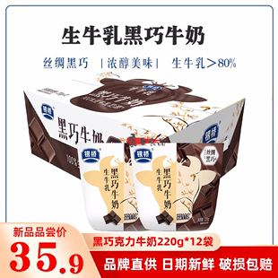 12袋整箱装 银桥黑巧牛奶生牛乳饮品220g 西安特产风味巧克力牛奶