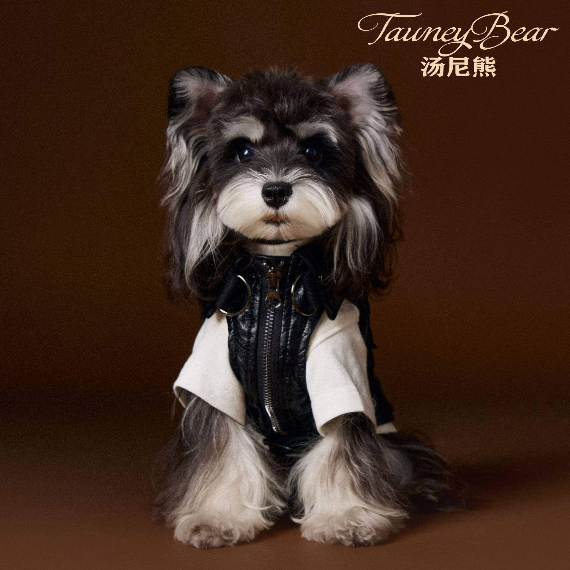 thumbnail for Autumn and winter dog clothes vests pet schnauzers dachshunds teddy fichones Yorkshire Maltese Pomeranian Shiba Inu