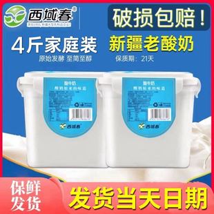 【只发新日期】新疆西域春桶装网红老酸奶水果捞泡沫箱保鲜发货