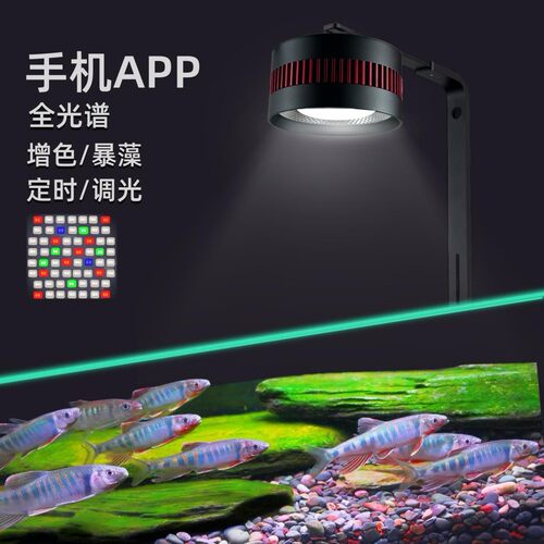 80W鱼缸灯led筒灯爆藻发色原生溪流缸WRGB全光谱水草灯观赏鱼缸灯