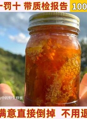 原生态正宗农家蜂巢蜜野生纯正嚼着吃大块真正的土蜂蜜百花结晶蜜