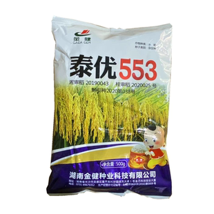 泰优籼型水稻杂交种子 泰优553 籼稻优质水稻谷种子米质优一季稻